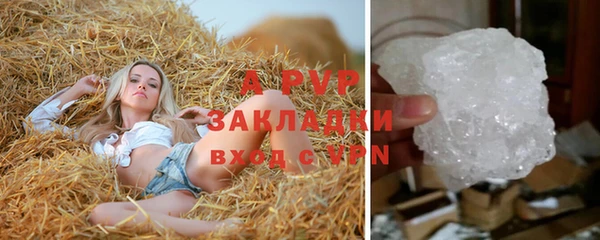 тгк Санкт-Петербург